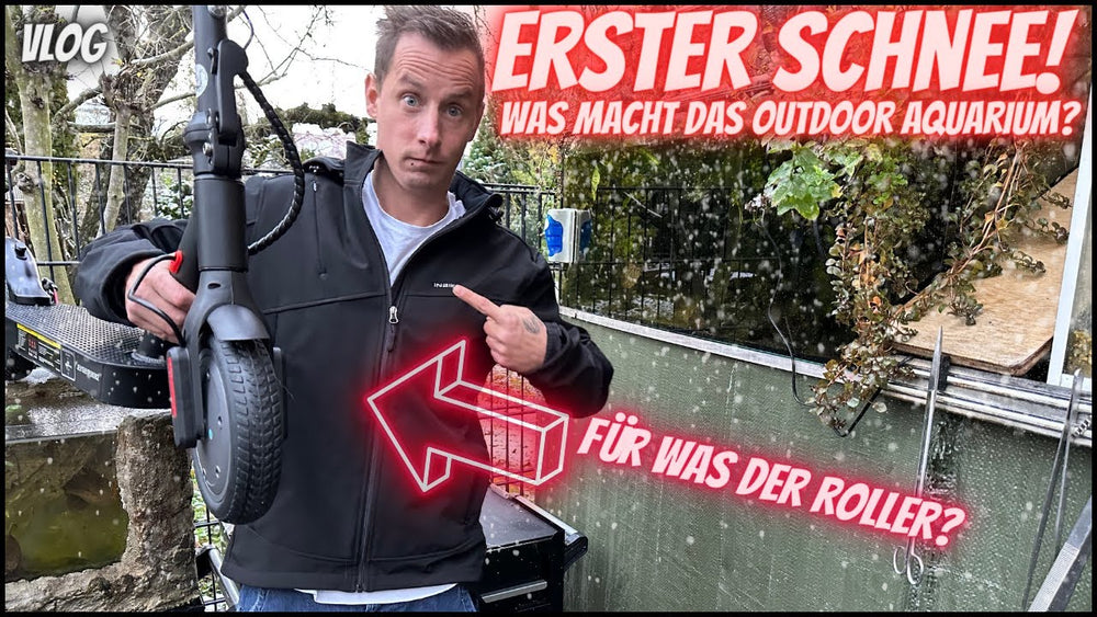  iScooter E9 Pro Test